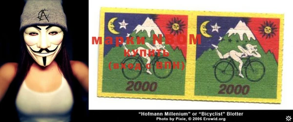 твердый Туринск