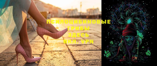 крисы Усинск